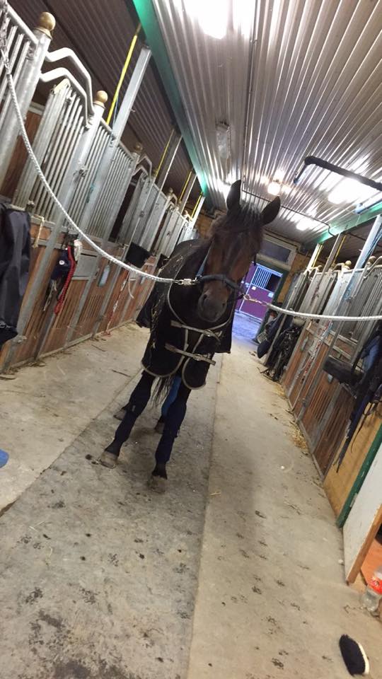 Enjoytghefuture S.c.