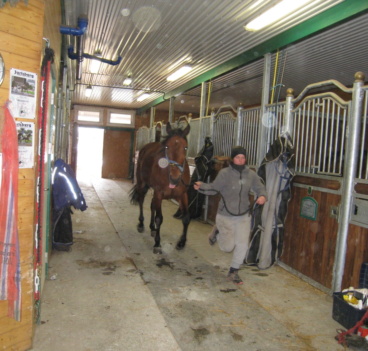 tirsdag23mars2015 2015-03-24 050