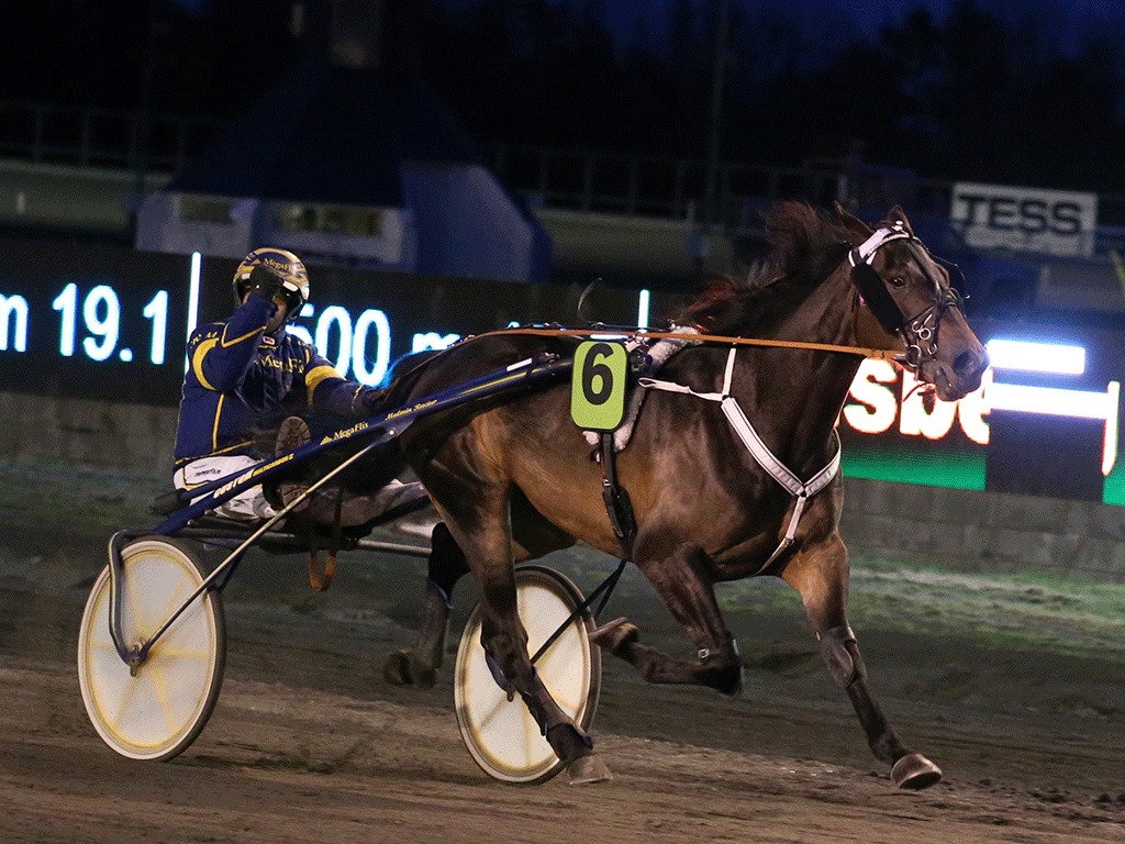 Quite Cool vinnerbilde