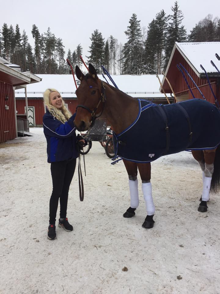 stormbringer lise marie