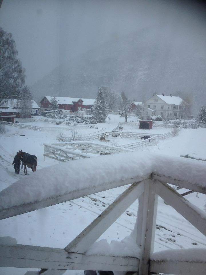 bergsundgårdsnøvær