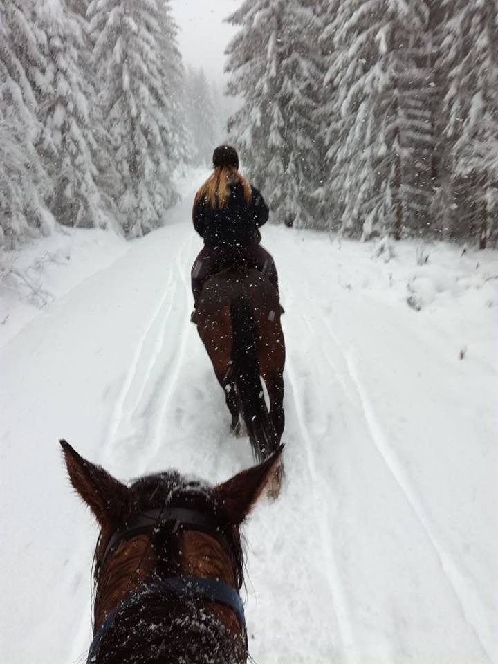 ridetur i snøen