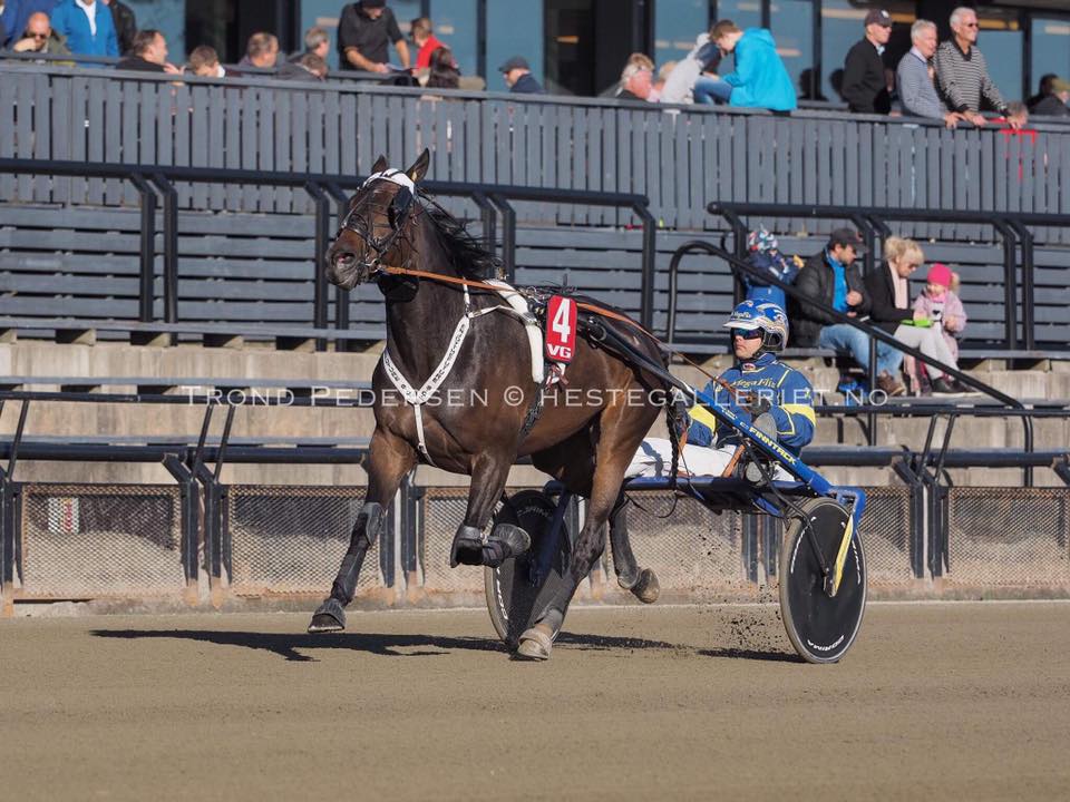 enjoythefuture vinner