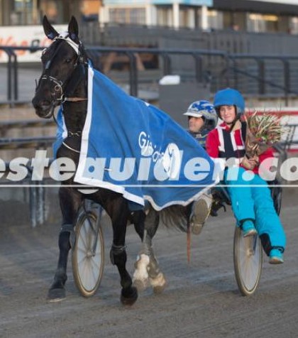 Laser Tile Vilde Bjerke