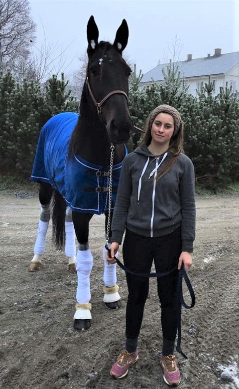 Laser Tile og VIlde (2)